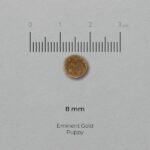 EMINENT_GOLD_PUPPY_GRANULE