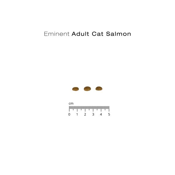 Eminent Adult Cat – Salmon Gluteenivaba kassitoit krõbin