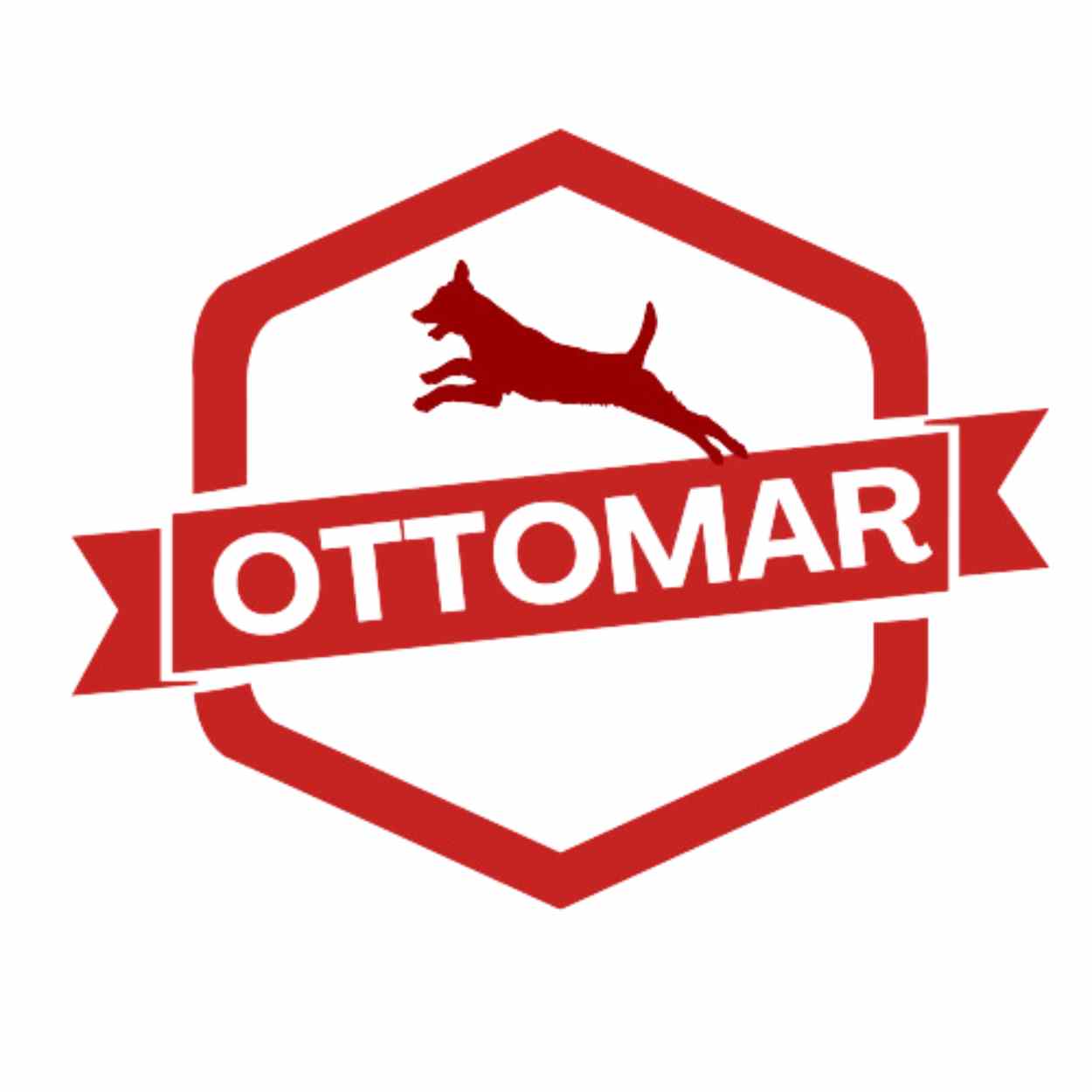 Ottomar logo