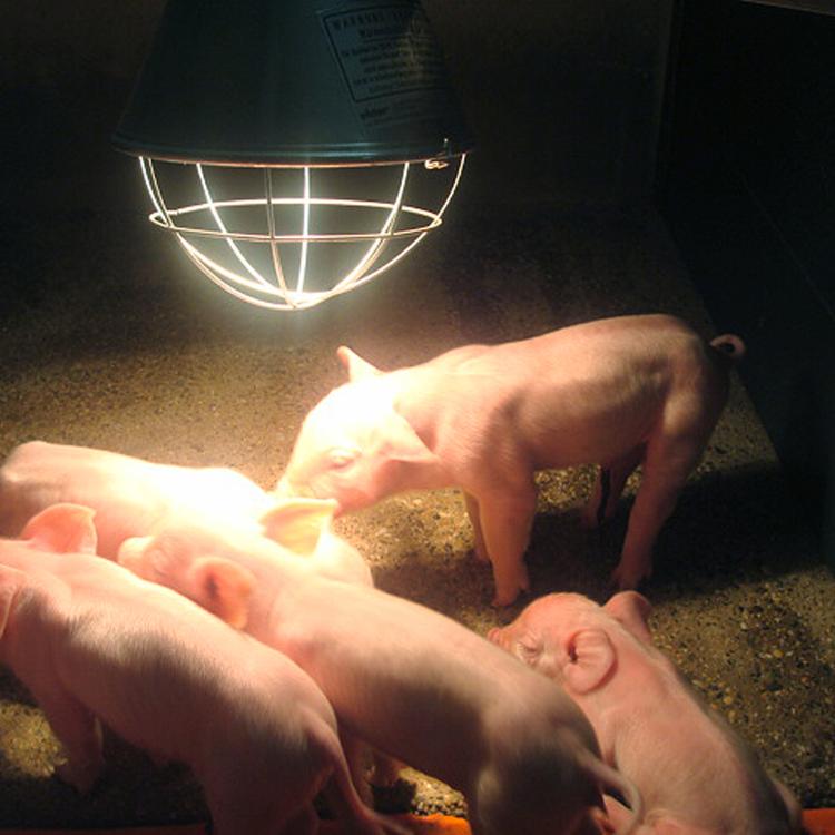 Soojenudslamp pikendusjuhtmega_2