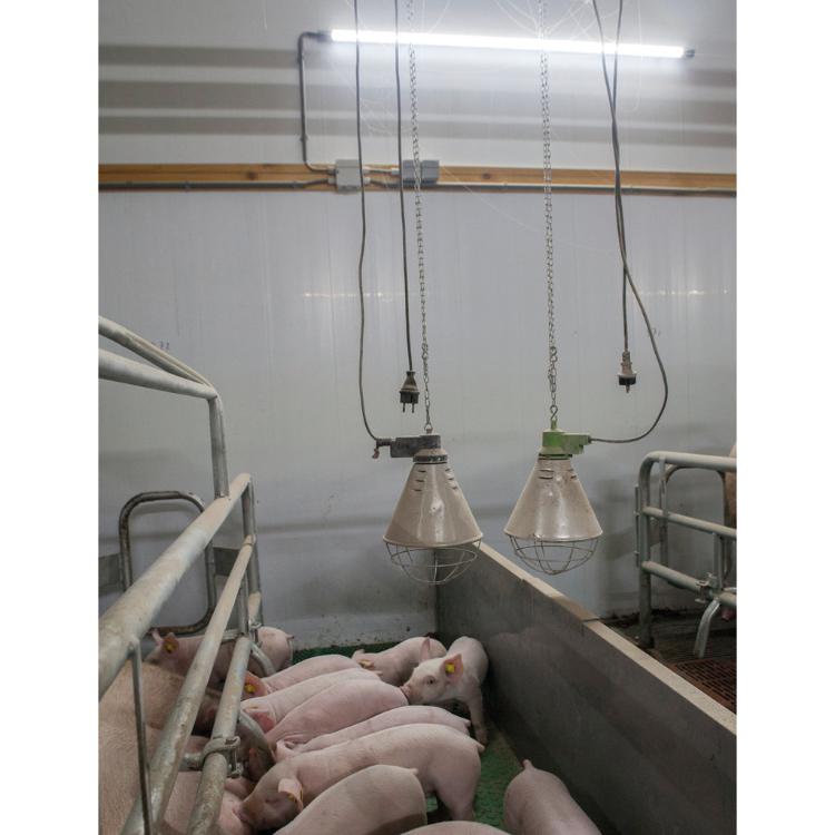 Soojenudslamp pikendusjuhtmega_4
