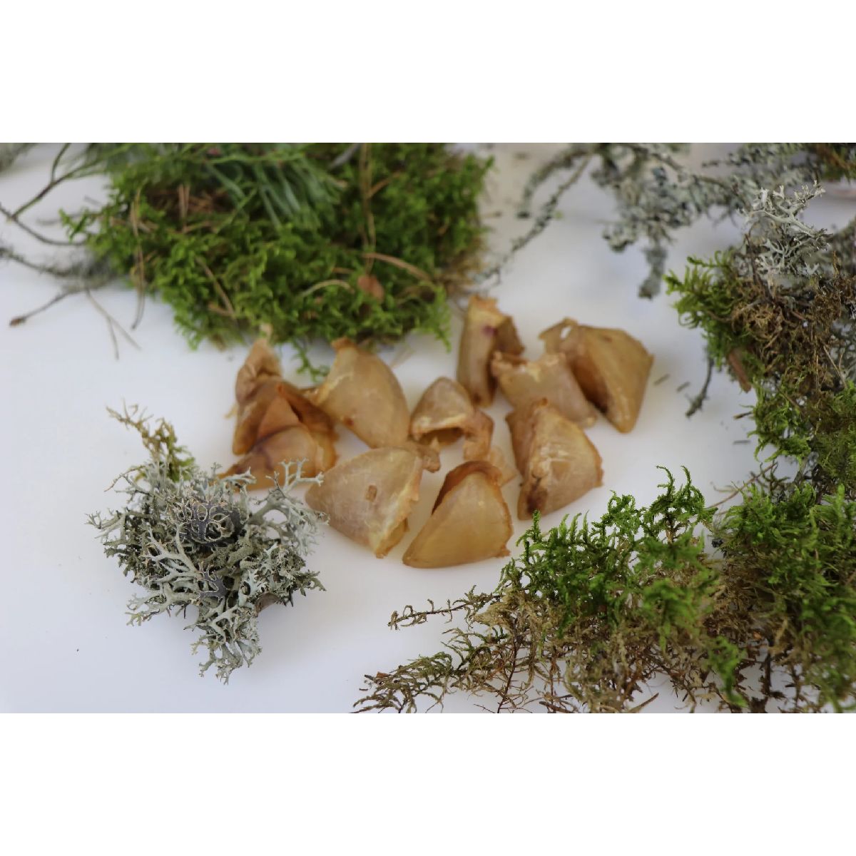 Ottomar Kuivatatud seasõrg 60g_1